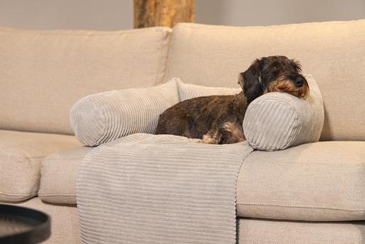 Actual product image Designed by Lotte Ribbed (Dog)