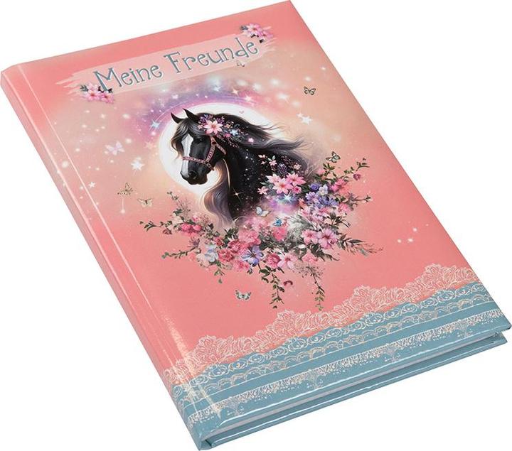 Produktbild Goldbuch Freundebuch A5 88 S.illu. Luna (14.8 x 21 cm, Liniert, Harter Einband)