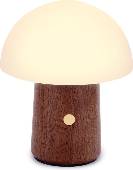Image du produit Gingko Champignon Alice