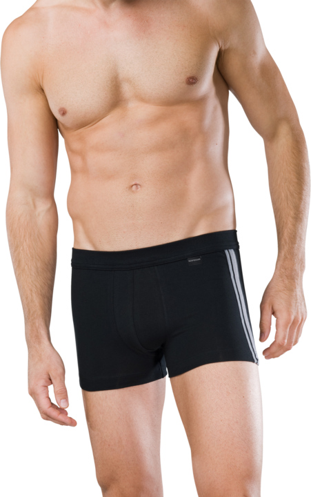 Actual product image Schiesser Multipack 2PACK Shorts (4, pack of 2)