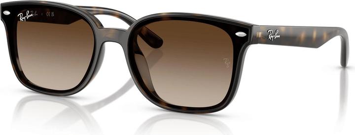 Braun Verlaufstönung, Havana