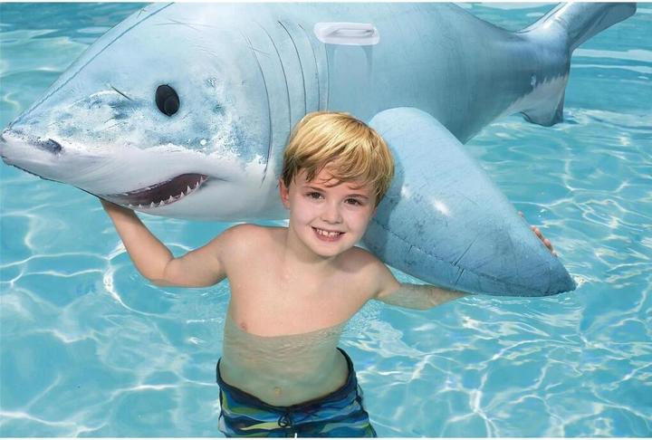 Actual product image Bestway Shark