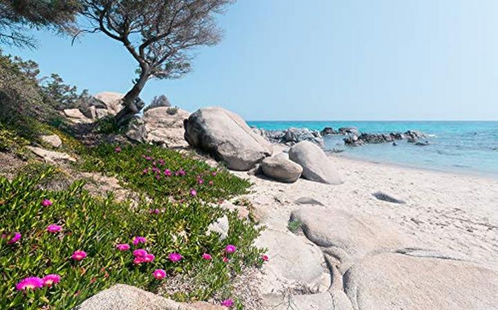 Komar Fototapete Vlies Mediterrane Träume 9-tlg. 450 x 280 cm (450 x 280 cm)