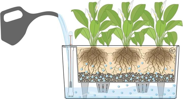 Produktbild Lechuza Delta (40 x 15 x 18 cm)