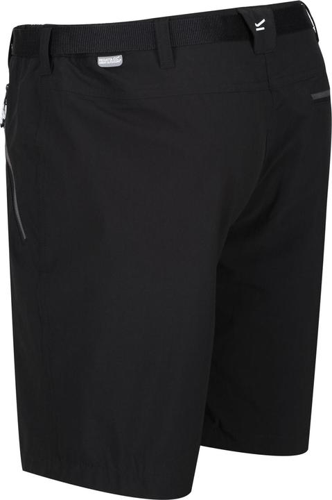 Actual product image Regatta Mens Xert III Stretch Shorts (44)