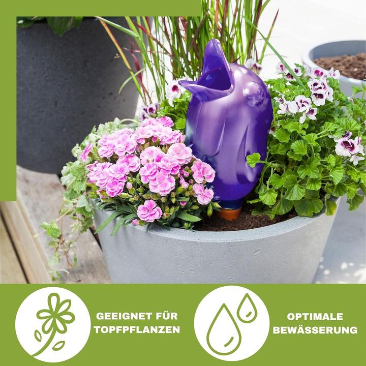 Actual product image Scheurich Water dispenser Bördy XL | 2 x purple | 220ml filling capacity | Watering ball large with clay base (Irrigation balls)