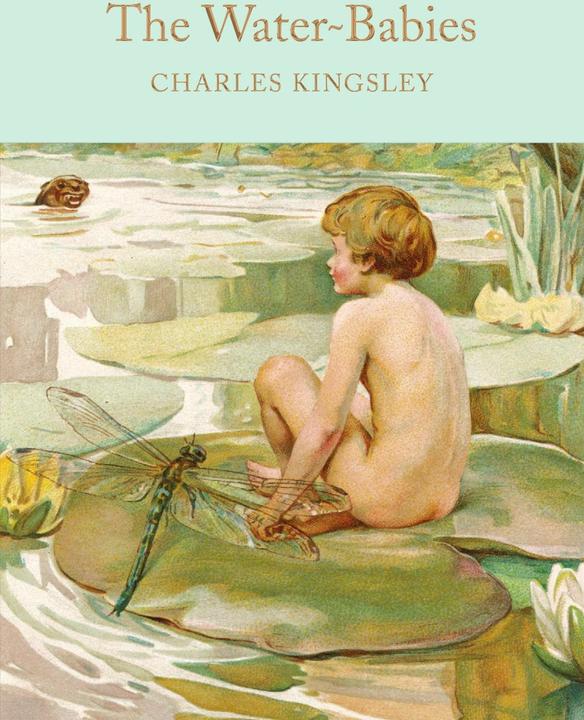 Produktbild The Water-Babies (Englisch, Charles Kingsley, 2016)