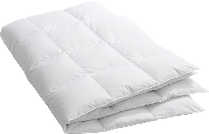Produktbild Billerbeck Edition Hayo (600 g, 160 x 210 cm)