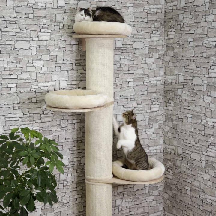 Produktbild Kerbl Dolomit Tower (187 cm, Beige)