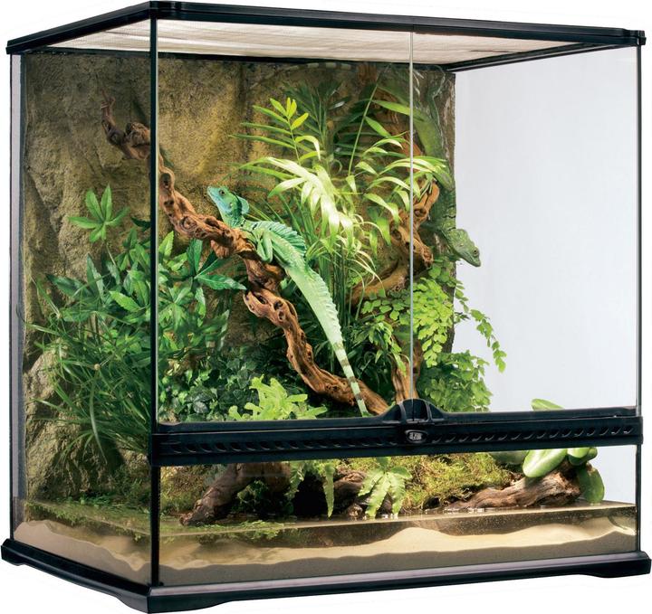 Image du produit Exo Terra Terrarium