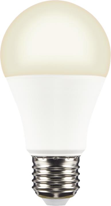 Image du produit Xlayer Ampoule intelligente echo e27 (E27, 9 W, 800 lm, 1 x, F)