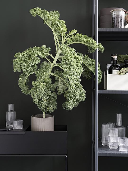 Actual product image Ferm Living Tray