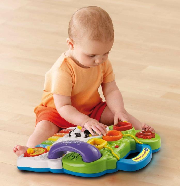 Image du produit VTech Chariot de jeu et de marche (FR)