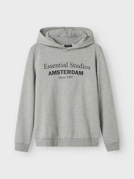 Produktbild Lmtd Regular Fit Hoodie (170, 176)