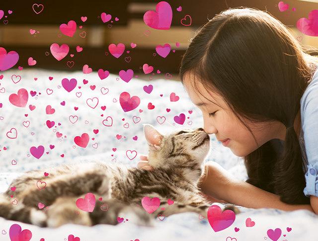 Image du produit Adobe Photoshop & Premiere Elements 2020 (1 Utilisateur, Illimité)