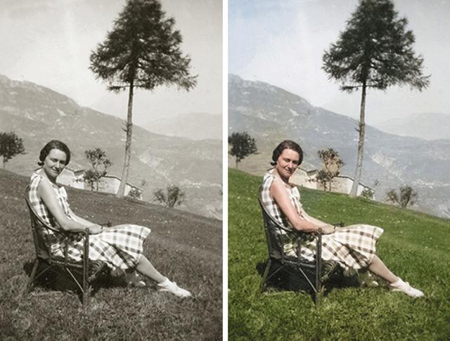 Image du produit Adobe Photoshop & Premiere Elements 2020 (1 Utilisateur, Illimité)