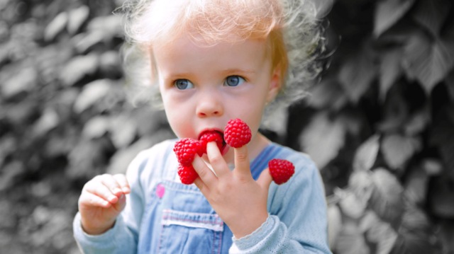 Immagine prodotto Adobe Photoshop Elements 2020 (1 Utente)