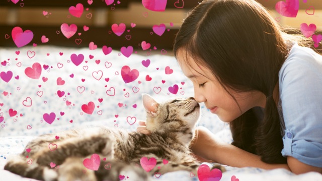 Immagine prodotto Adobe Photoshop Elements 2020 (1 Utente)