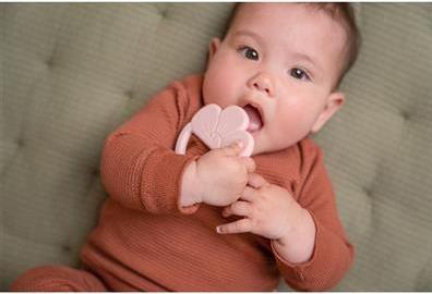 Actual product image Little Dutch Silicone teething ring Flower (4 Months)