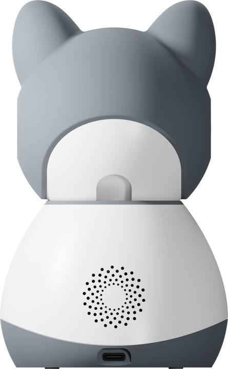 Actual product image Tesla Smart B250 surveillance camera, grey/white (1920 x 1080 Pixels)