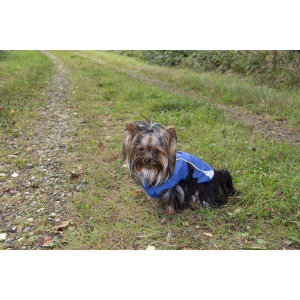 Companion wind & water proof jacket for dog - XS/25 cm (25, XS, Hundemantel), Hundebekleidung