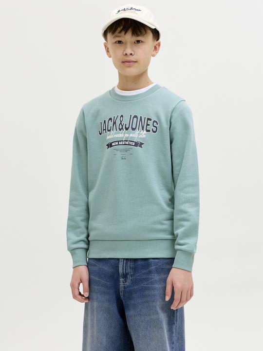 Produktbild Jack & Jones Jjelogo Sweat Crew Neck 2 Col Ss26 Jnr (128)