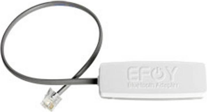 Actual product image EFOY 80 BT (40 W)