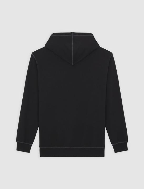 Produktbild Dickies Roy Hoodie Black (S)