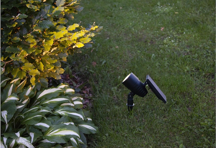 Produktbild Star Trading Solar Powerspot (50 lm, IP44)