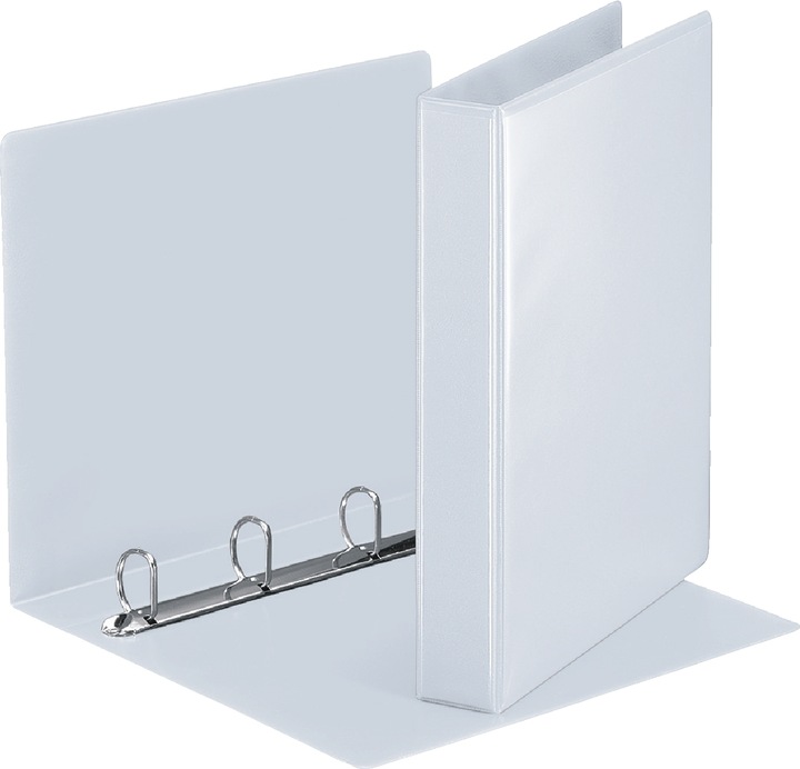 Actual product image Leitz Presentation ring binder (A4, 30 mm, 1 x)