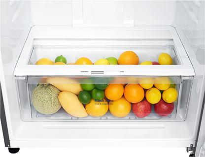 Actual product image LG GTF744PZPE Double Door Refrigerator Class E (509 l)