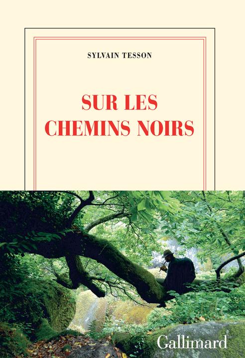 Sur les chemins noirs (Französisch, Tesson Sylvain, 2016)