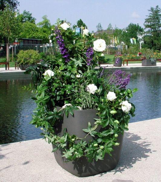 Produktbild Eternit Samurai (44 x 44 x 65 cm)