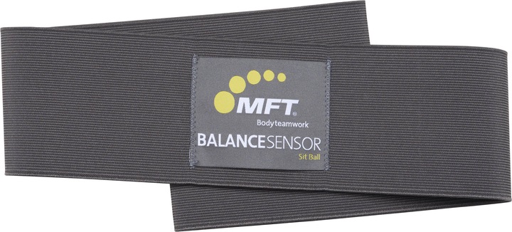 Actual product image MFT Balance Sensor Sit Ball