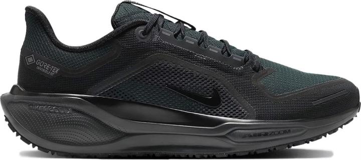 Produktbild Nike Women's Pegasus 41 GORE-TEX (42.5)