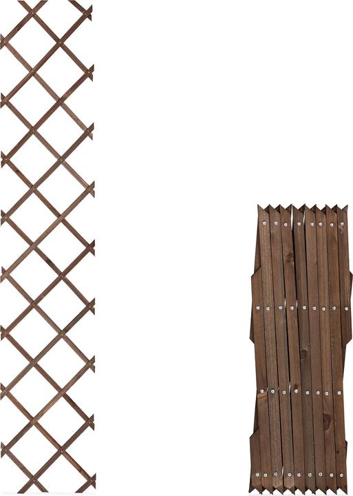 Immagine prodotto Relaxdays 3x Rankgitter (1.50 cm, 30 cm)
