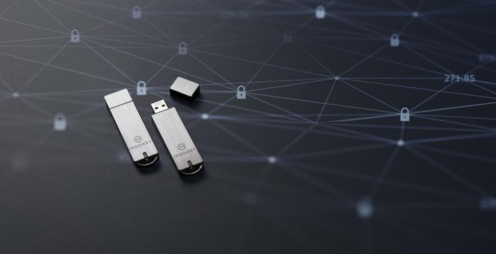 Image du produit Kingston Ironkey Basic S1000 (64 Go, USB-A, USB 3.1)