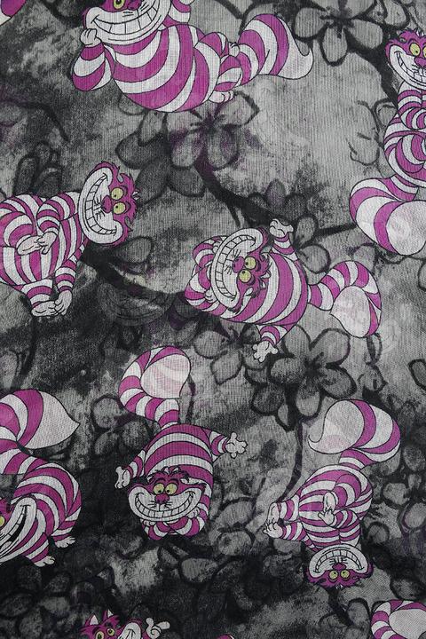 Immagine prodotto Alice In Wonderland Grinsekatze