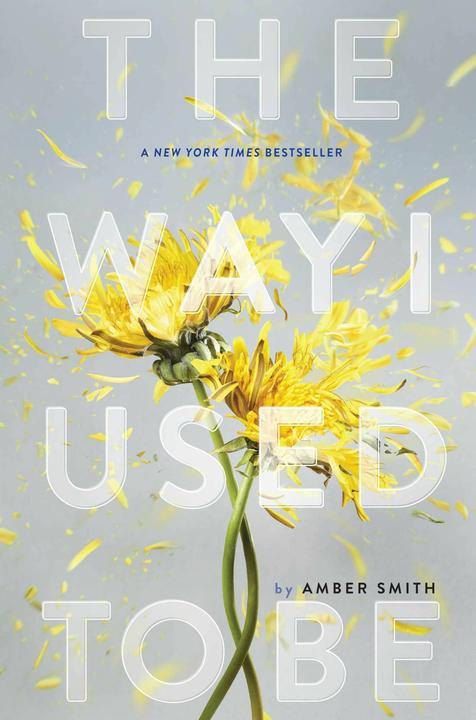 Produktbild The Way I Used to Be (Englisch, Amber Smith)