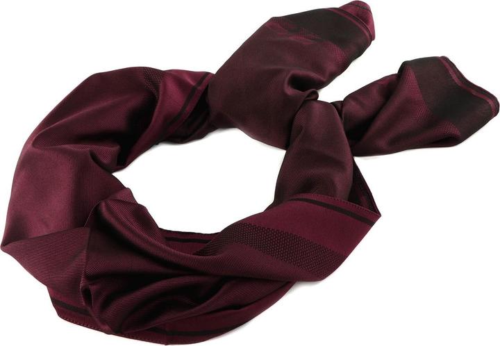 Immagine prodotto Guess Brynlee Scarf 80x180