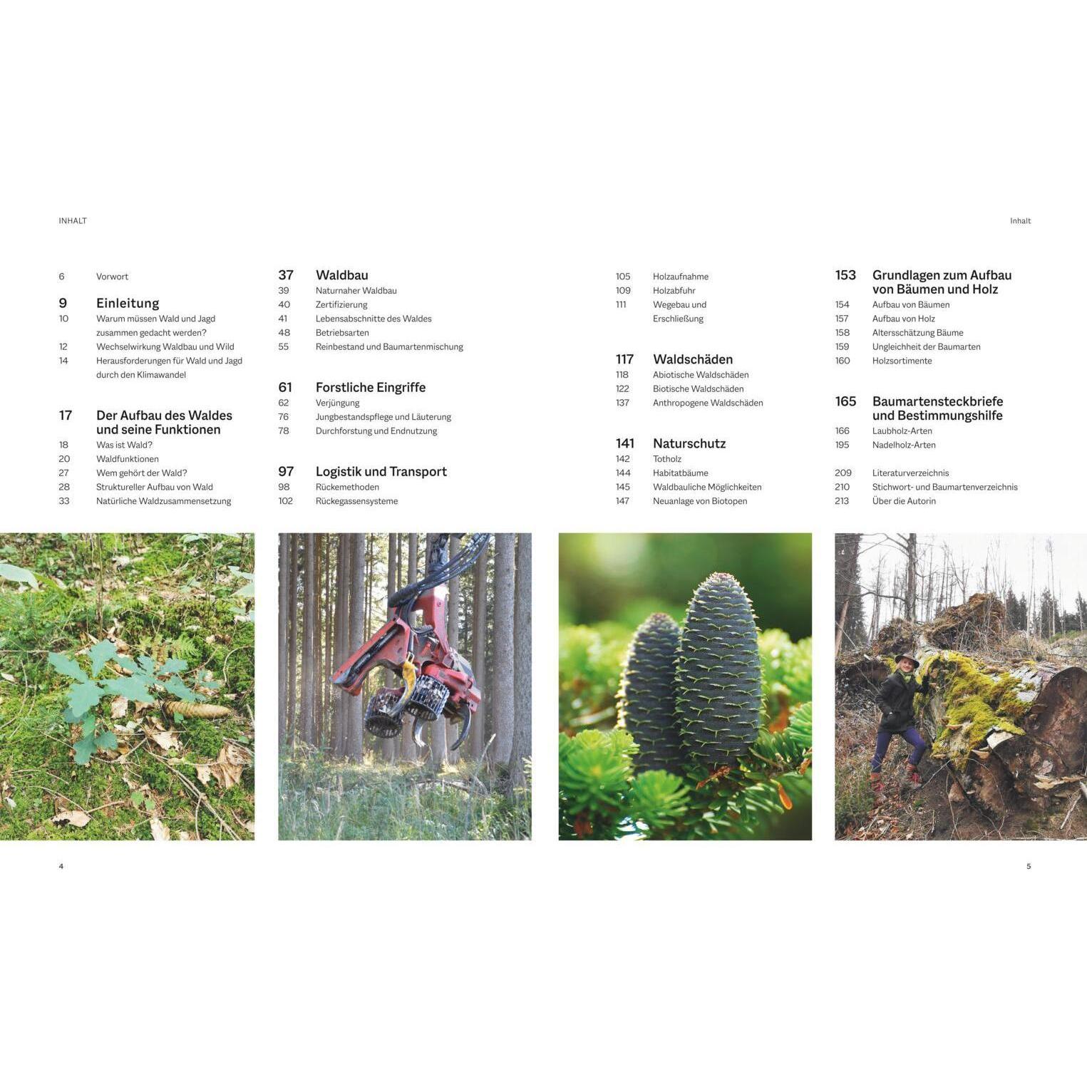 Thumbnail - Waldbau für Jäger, Sachbücher von Beatrice Jger