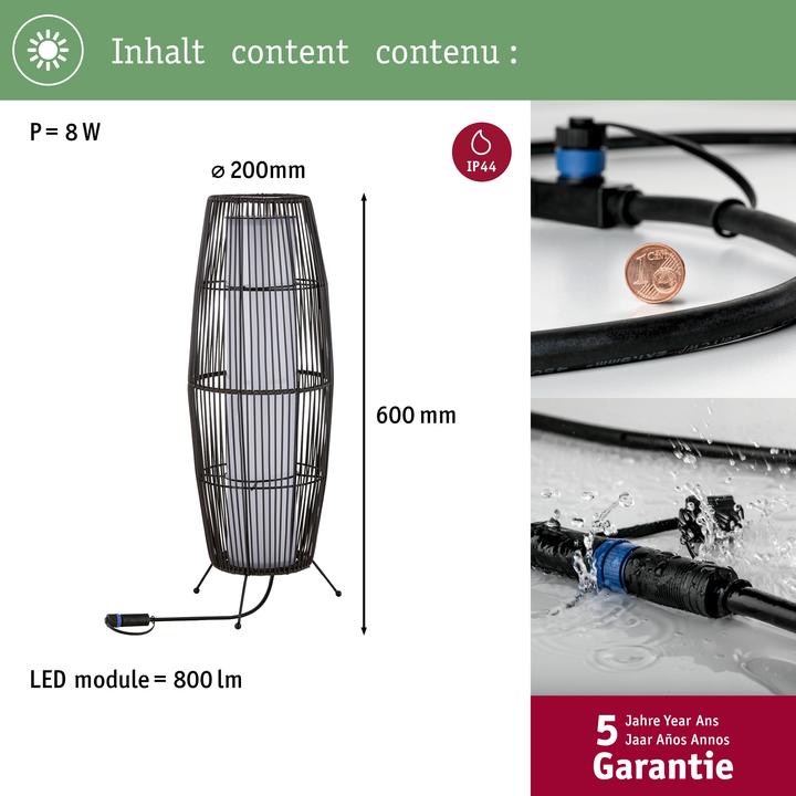 Image du produit Paulmann Plug & Shine (800 lm, IP44)