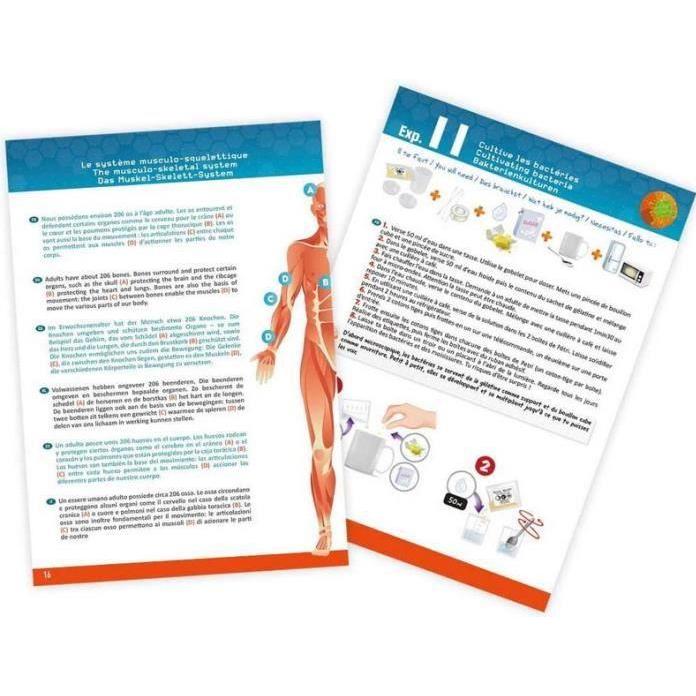 Thumbnail - Buki Der Körper des Menschen