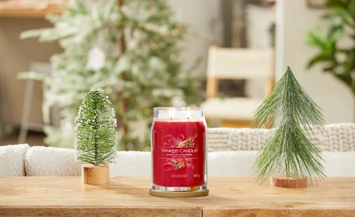 Actual product image Yankee Candle Sparkling Cinnamon (567 g)
