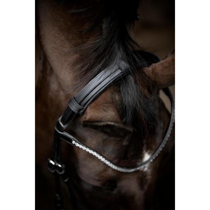 Image du produit Catago Gentle