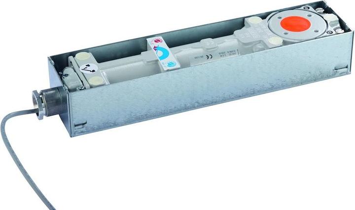 Actual product image Dormakaba Floor springs BTS 80 EMB (Entrance door, French window, Room door, Wooden door, Indoor)