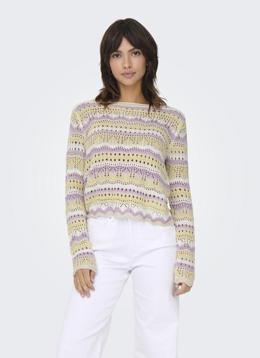 Image du produit JdY JDYSUN Pulls en maille Pulls en maille (L)