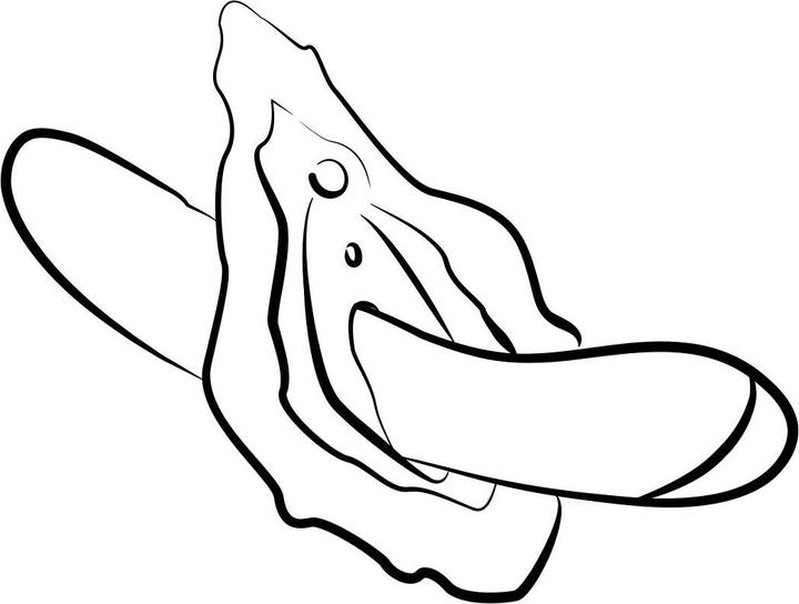 Produktbild Romp Hype