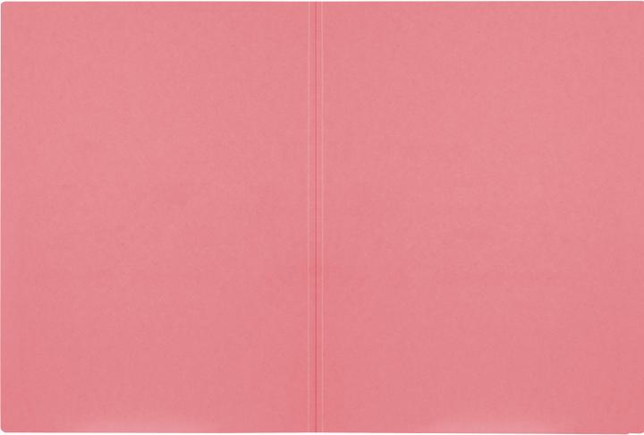 Image du produit Biella Chemises à incrustation A4 - 100 pièces (A4, 1 x)