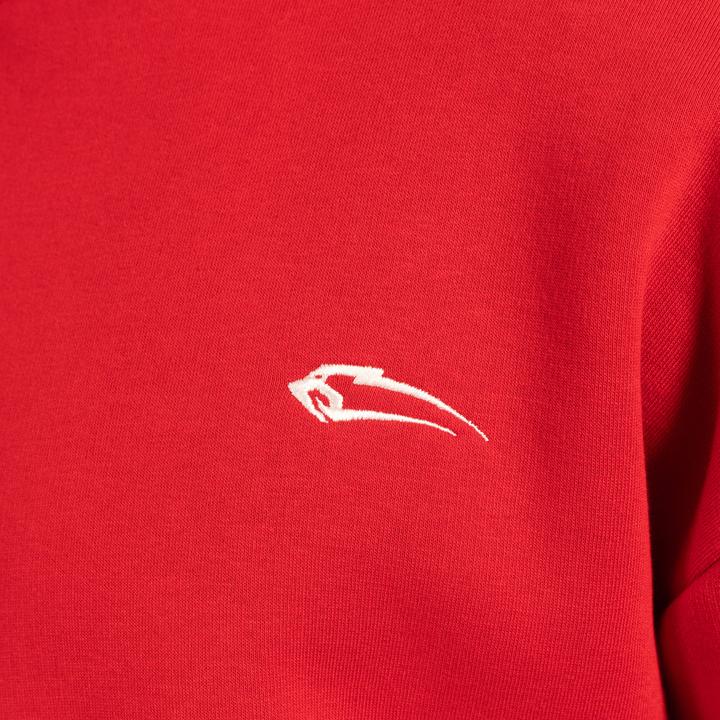 Produktbild Smilodox Hoodie Rayk (S)